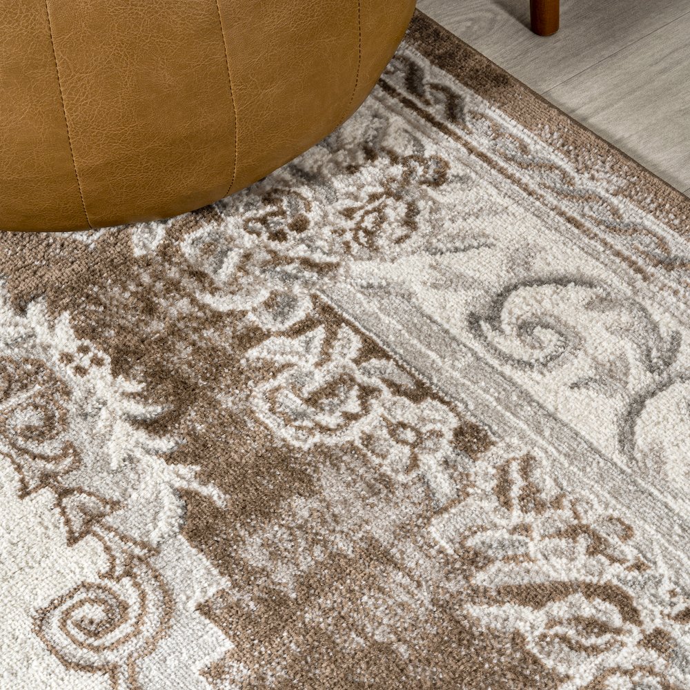 Rosalia Cottage Medallion Area Rug. Picture 4