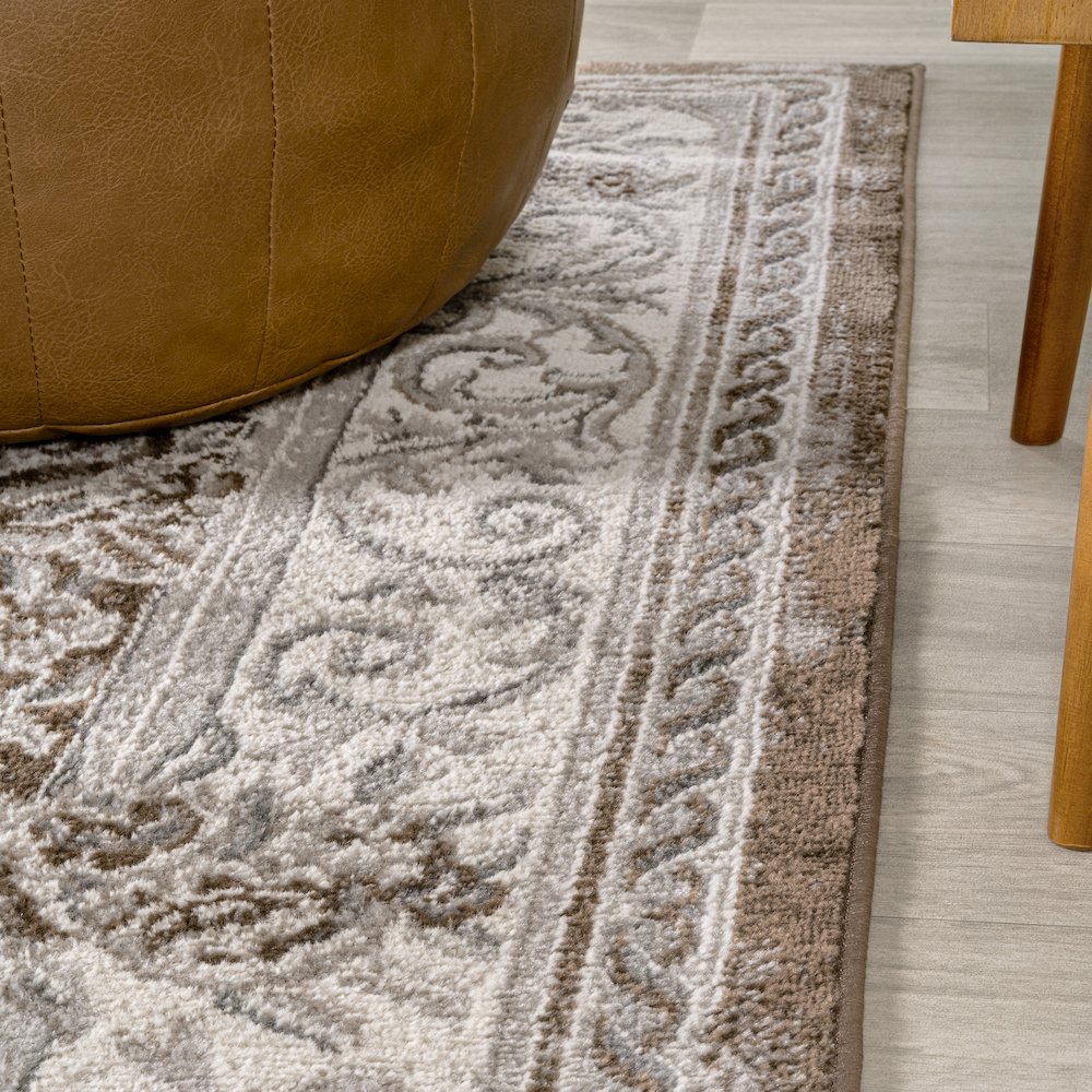 Rosalia Cottage Medallion Area Rug. Picture 5