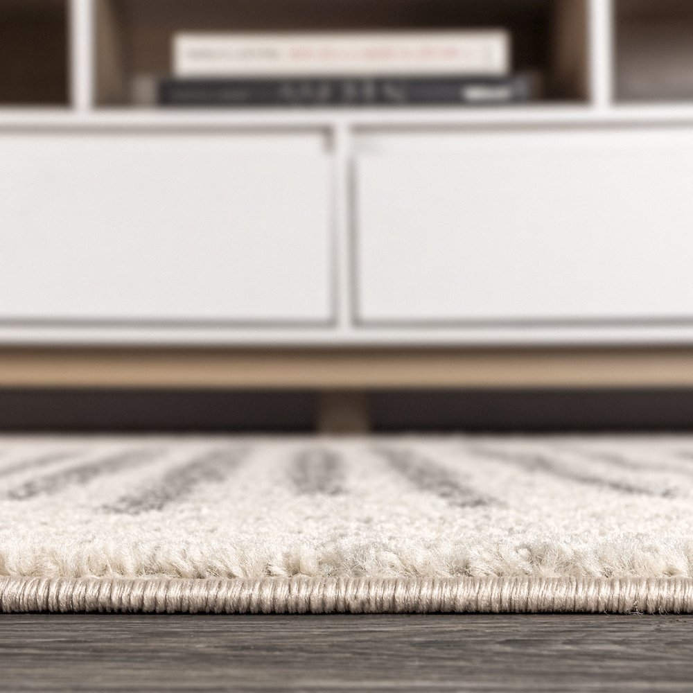 Aya Berber Stripe Geometric Area Rug. Picture 11