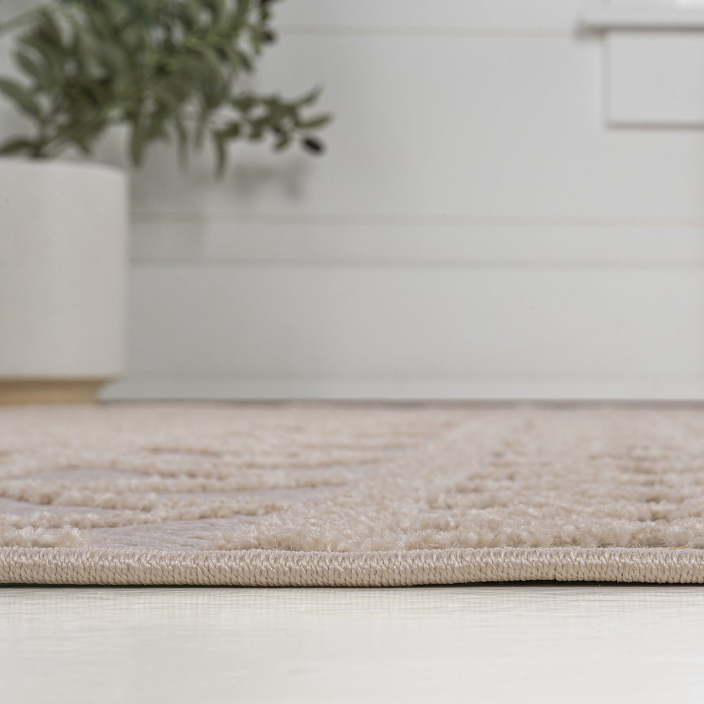 Aylan High-Low Pile Knotted Trellis Geometric Indoor/Outdoor Area Rug. Picture 11