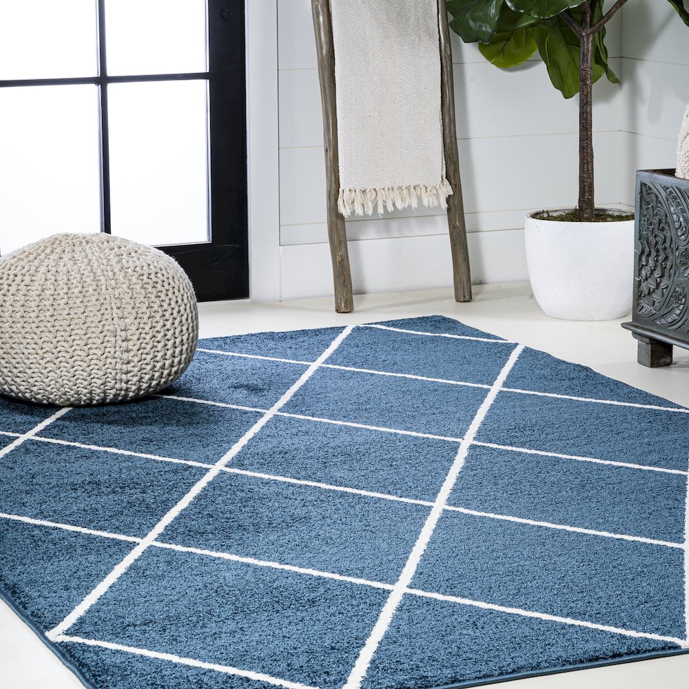 Cole Minimalist Diamond Trellis Area Rug. Picture 5