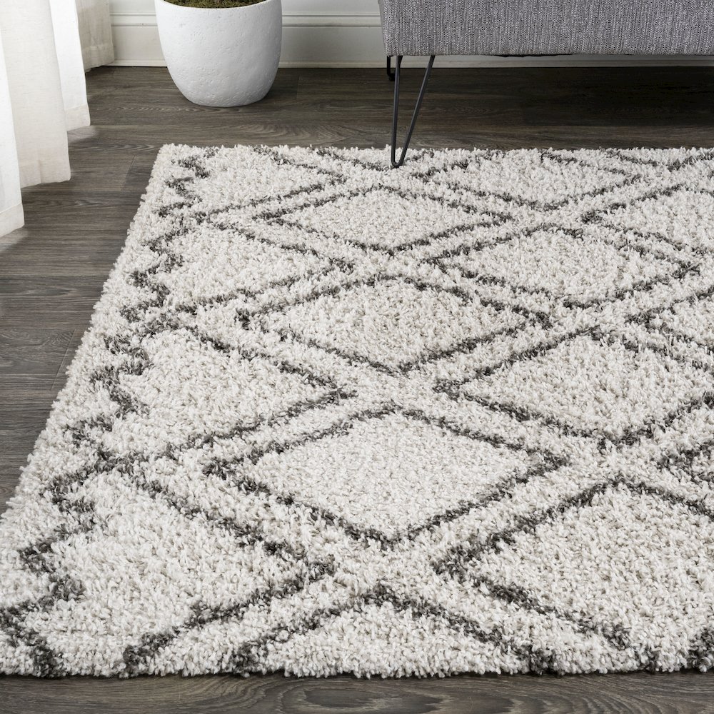Soller Diamond Trellis Shag Area Rug. Picture 3