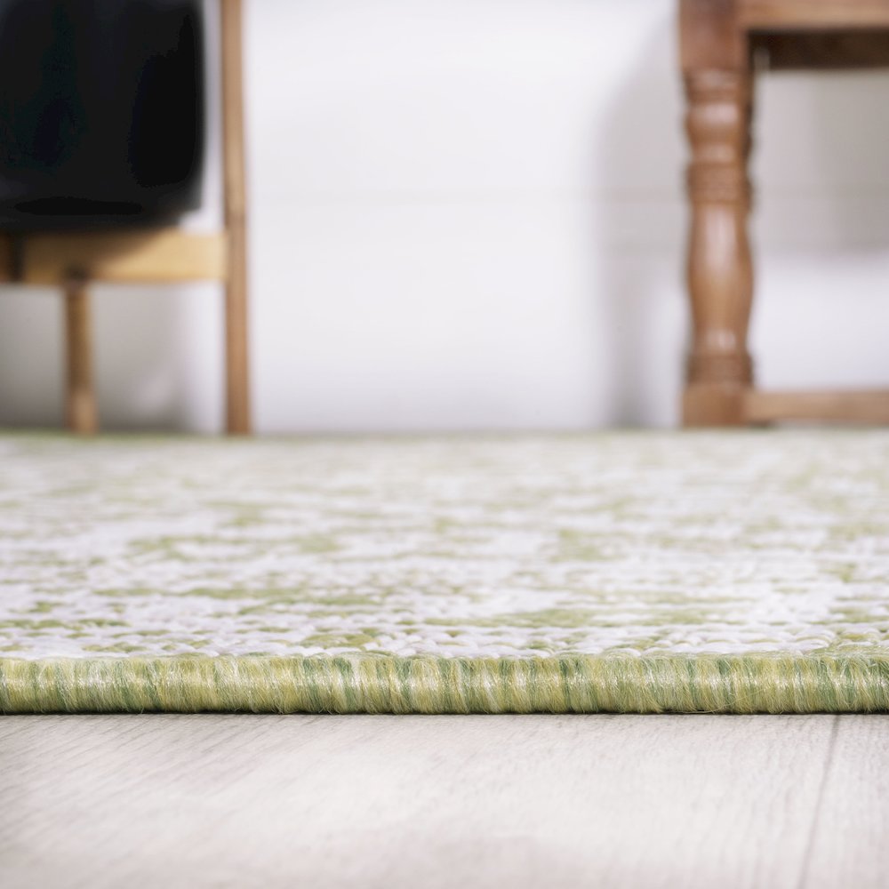 Sinjuri Medallion Textured Weave Indoor/Outdoor Area Rug. Picture 9
