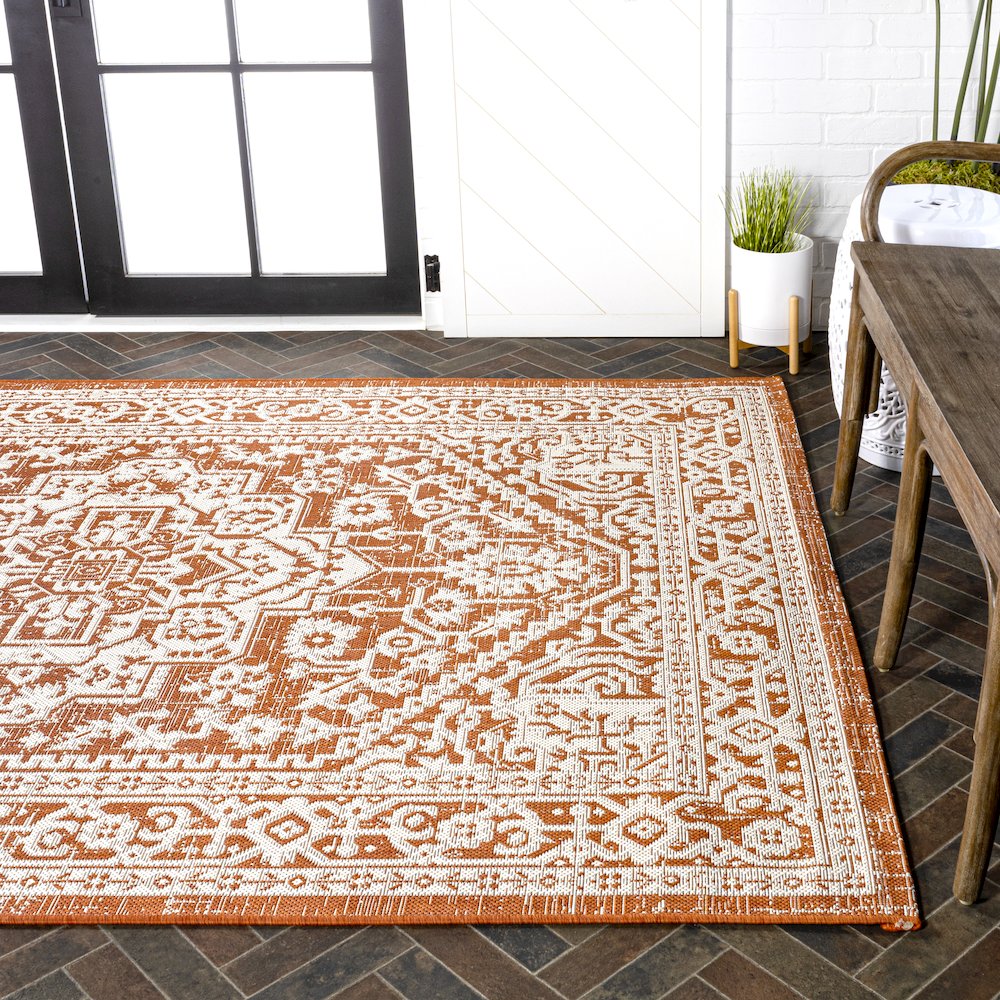 Sinjuri Medallion Textured Weave Indoor/Outdoor Area Rug. Picture 7