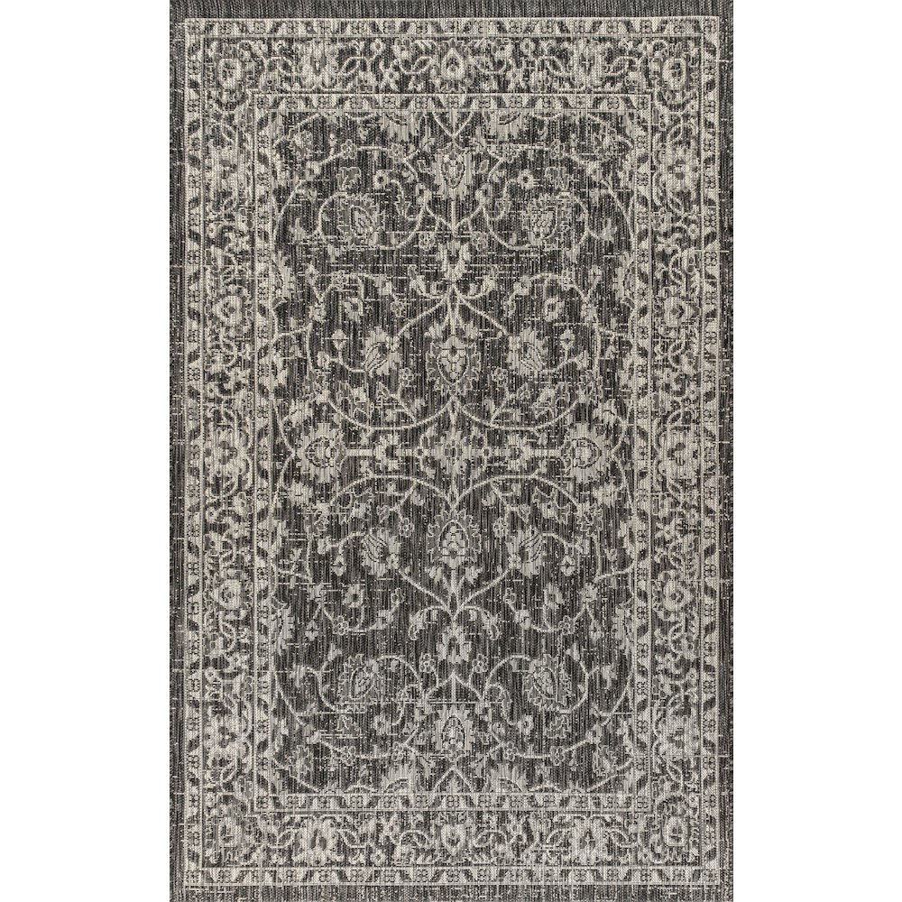 Palazzo Vine And Border Textured Weave Indoor/Outdoor Area Rug. Picture 1