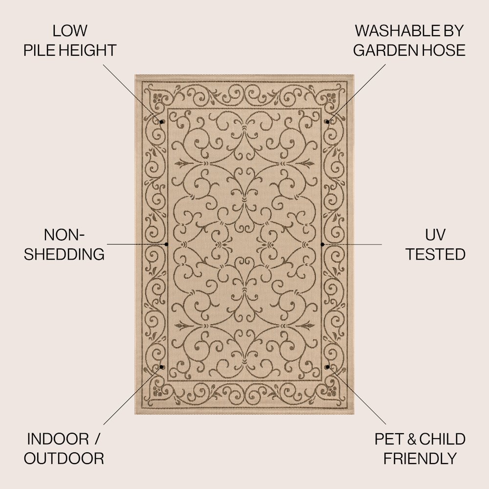 Charleston Vintage Filigree TetuWeave Beige   Indoor/Outdoor  Rug. Picture 3