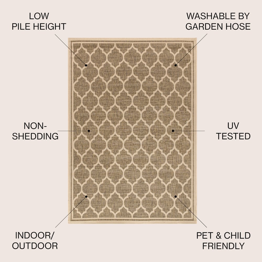 Trebol Moroccan Trellis TetuWeaveIndoor/Outdoor  Rug. Picture 3