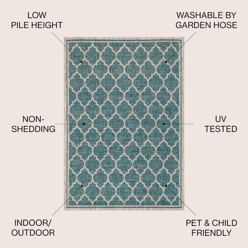 Trebol Moroccan Trellis TetuWeaveIndoor/Outdoor  Rug. Picture 3
