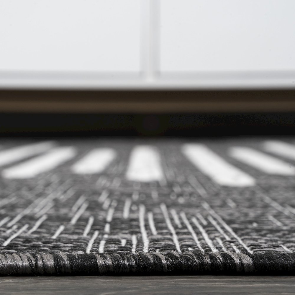 Zolak Berber Stripe Geometric Indoor/Outdoor Area Rug. Picture 11