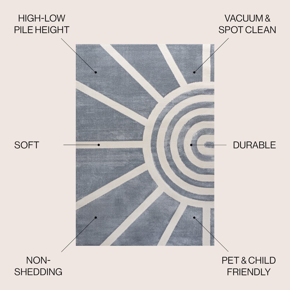 Aelius Midcentury Scandinavian Abstract Sun Two-Tone High-Low Area Rug. Picture 4