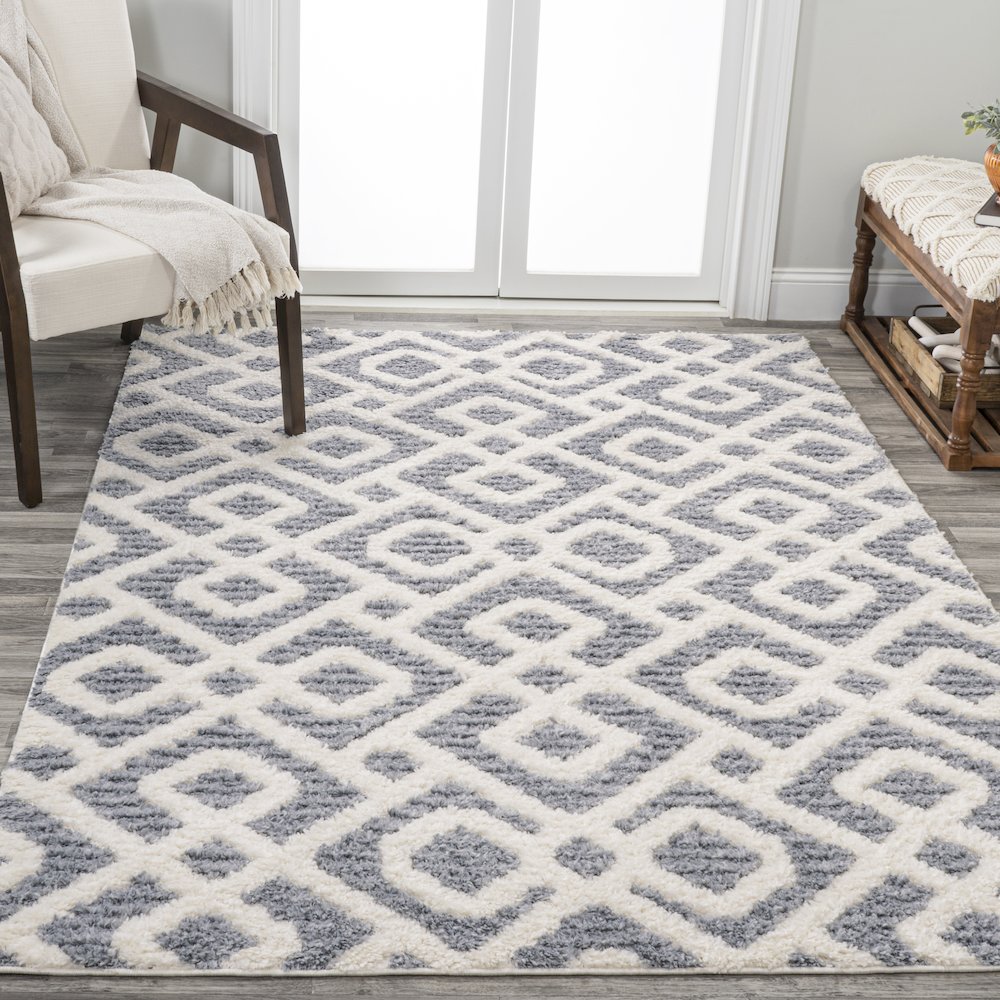 Astrid Retro Trellis High-Low Area Rug. Picture 4