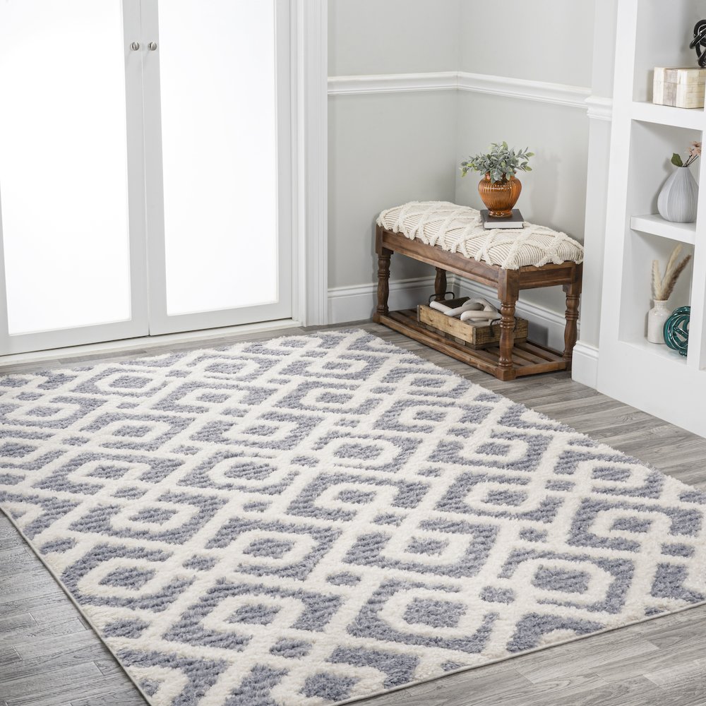 Astrid Retro Trellis High-Low Area Rug. Picture 5