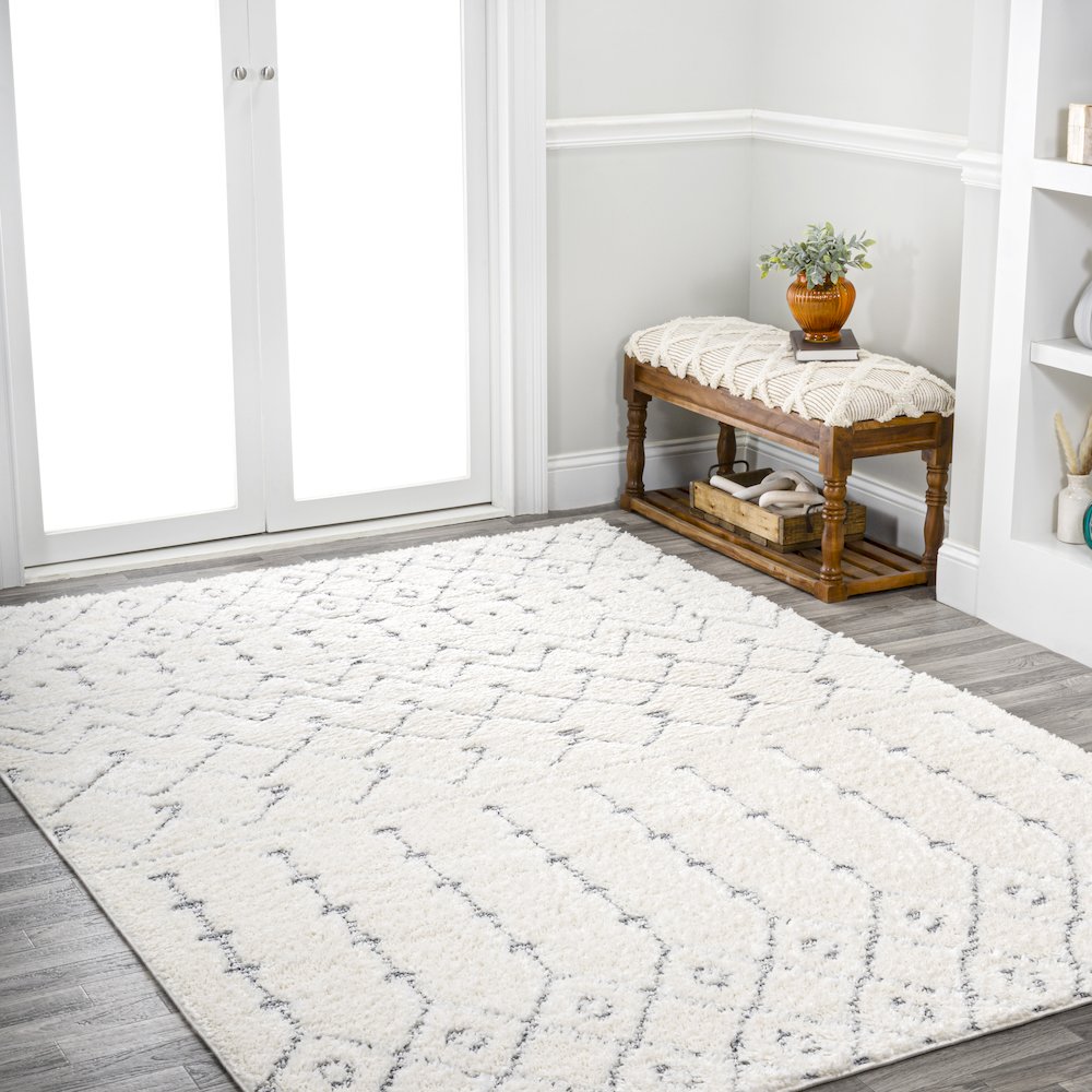 Pia Moroccan Trellis Plush Carved Area Rug. Picture 5