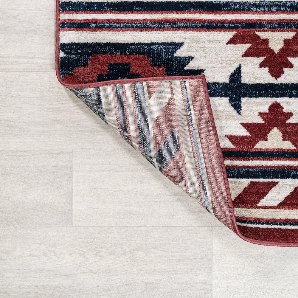 Serape Medallion Southwestern Area Rug. Picture 6