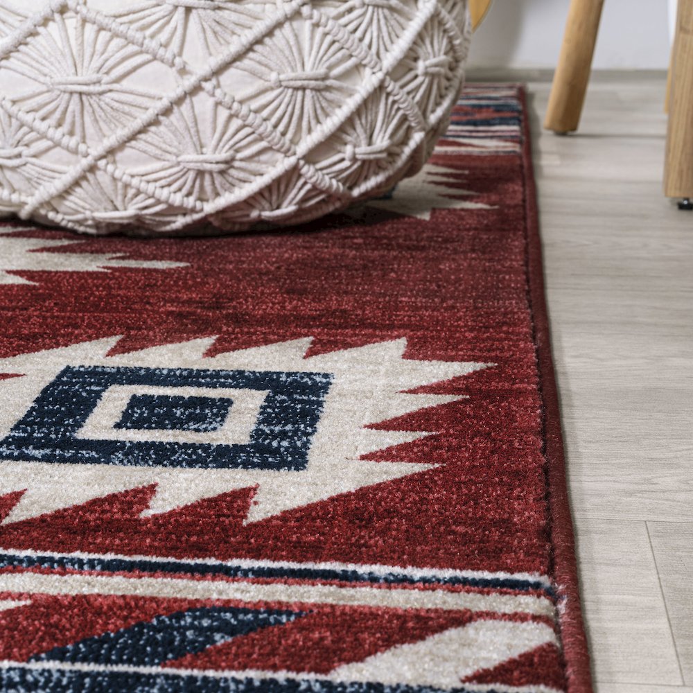 Serape Medallion Southwestern Area Rug. Picture 8