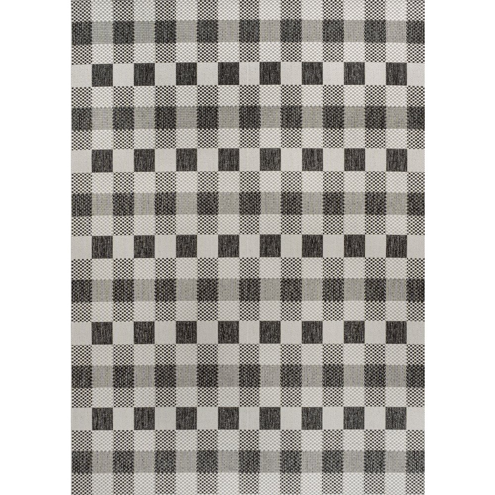 Darcy Traditional Geometric Bold Gingham Indoor/Outdoor Area Rug. Picture 4