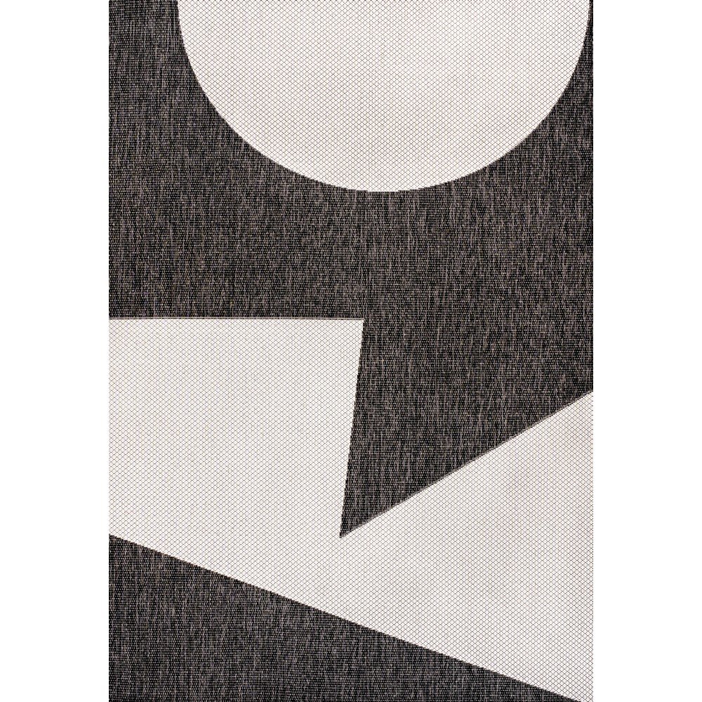 Two-Tone Black/Cream 4 ft. x 6 ft. Indoor/Outdoor Area Rug. Picture 1