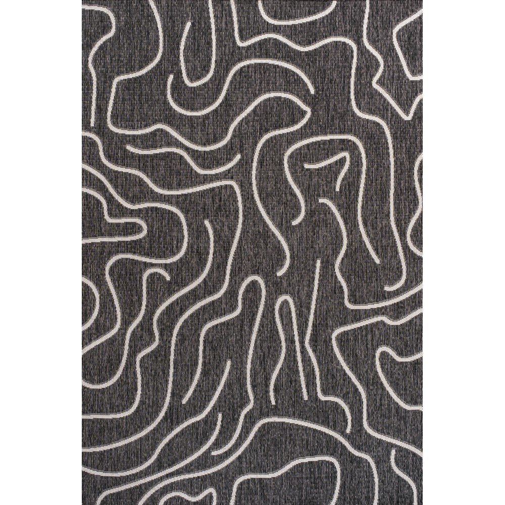 Organic Shapes Black/Cream 4 ft. x 6 ft. Indoor/Outdoor Area Rug. Picture 1