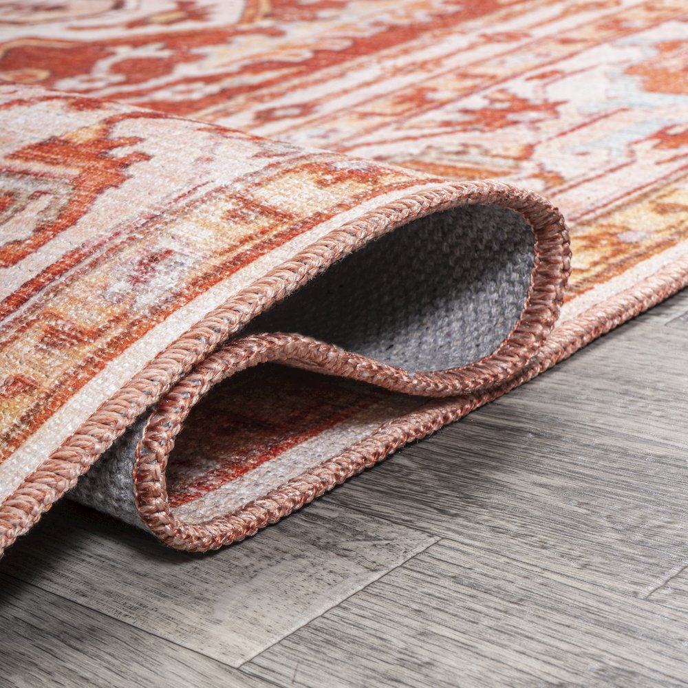 Asa Ornate Medallion Washable Indoor/Outdoor Area Rug. Picture 9