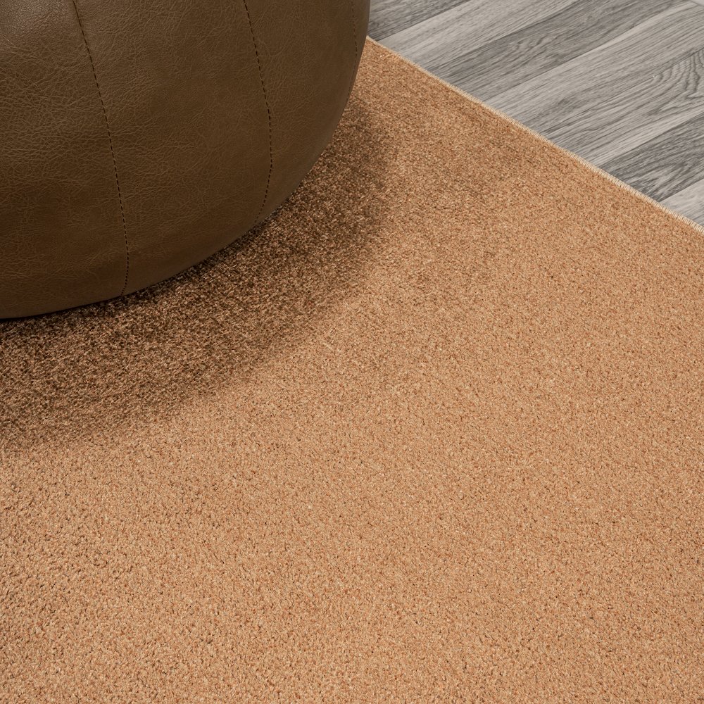 Twyla Classic Solid Low-Pile Machine-Washable Area Rug. Picture 4