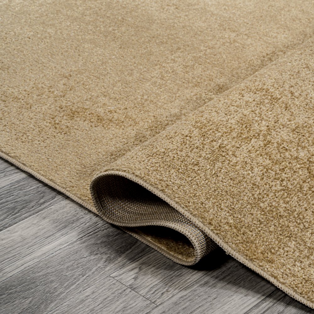 Twyla Classic Solid Low-Pile Machine-Washable Area Rug. Picture 7