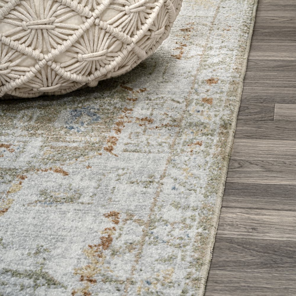 Shaemus Bohemian Medallion Low-Pile Machine-Washable Area Rug. Picture 5