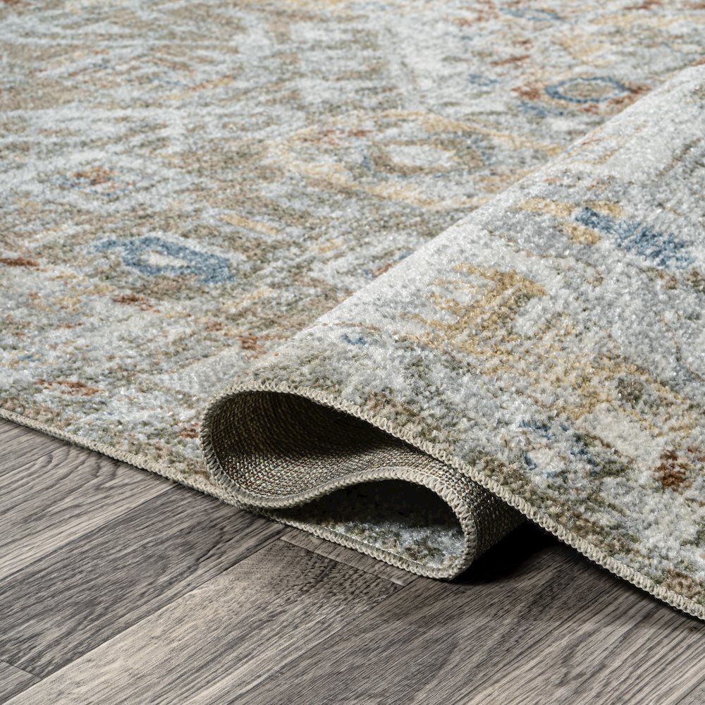 Shaemus Bohemian Medallion Low-Pile Machine-Washable Area Rug. Picture 7