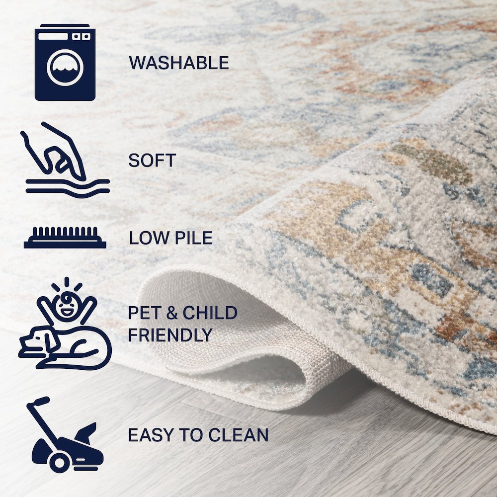 Shaemus Bohemian Medallion Low-Pile Machine-Washable Area Rug. Picture 7