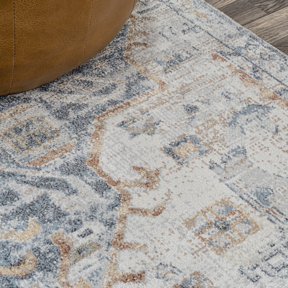 Shaemus Bohemian Medallion Low-Pile Machine-Washable Area Rug. Picture 4