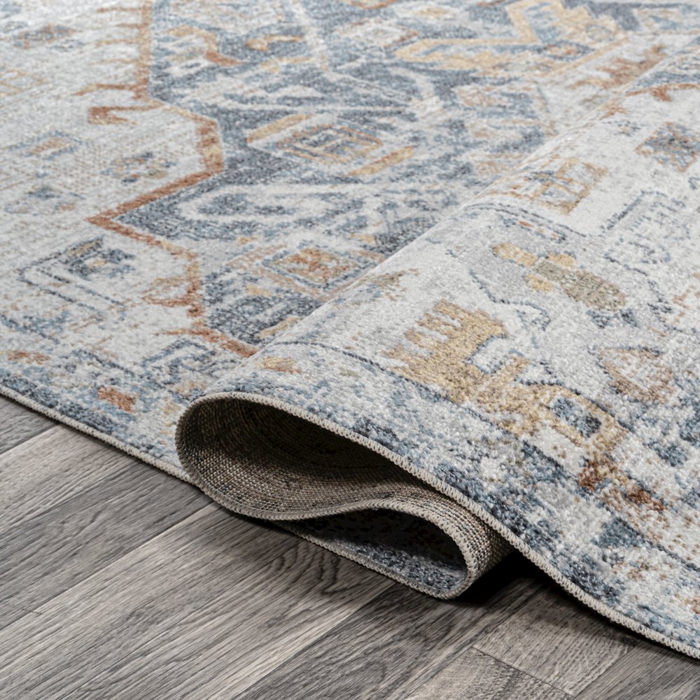 Shaemus Bohemian Medallion Low-Pile Machine-Washable Area Rug. Picture 7