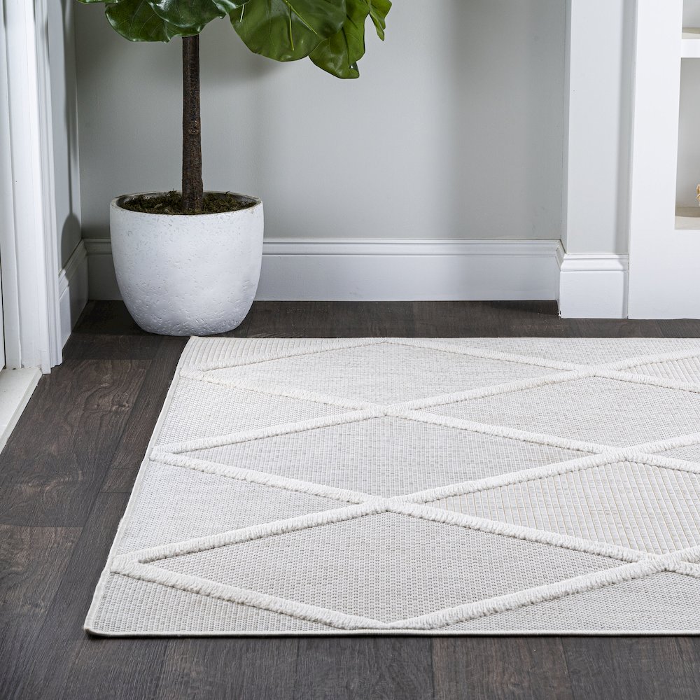 Salines Diamond Trellis Indoor/Outdoor Area Rug. Picture 3