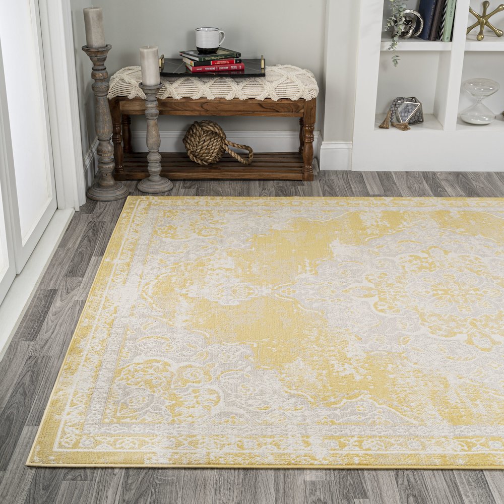 Alhambra Ornate Medallion Modern Area Rug. Picture 3