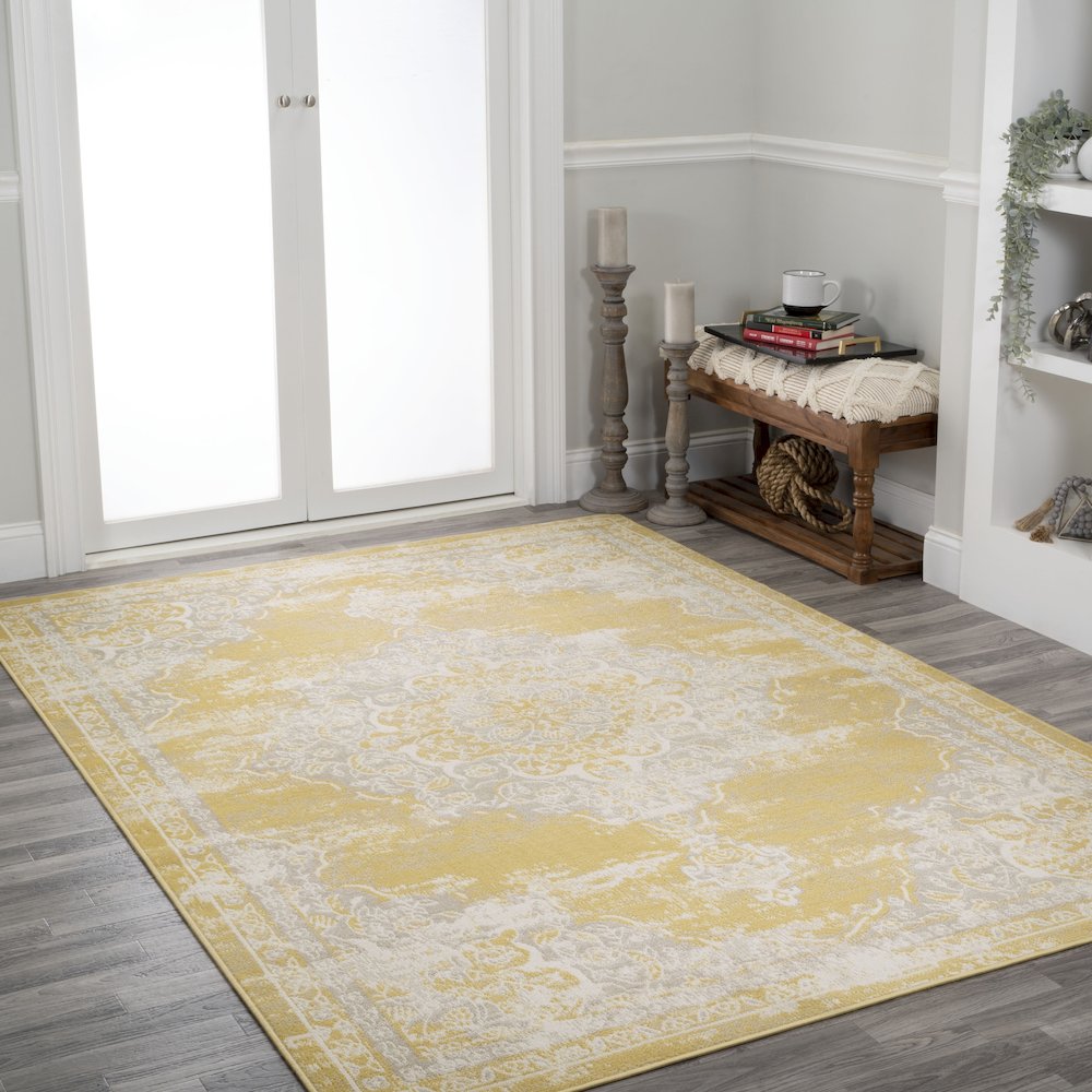 Alhambra Ornate Medallion Modern Area Rug. Picture 5