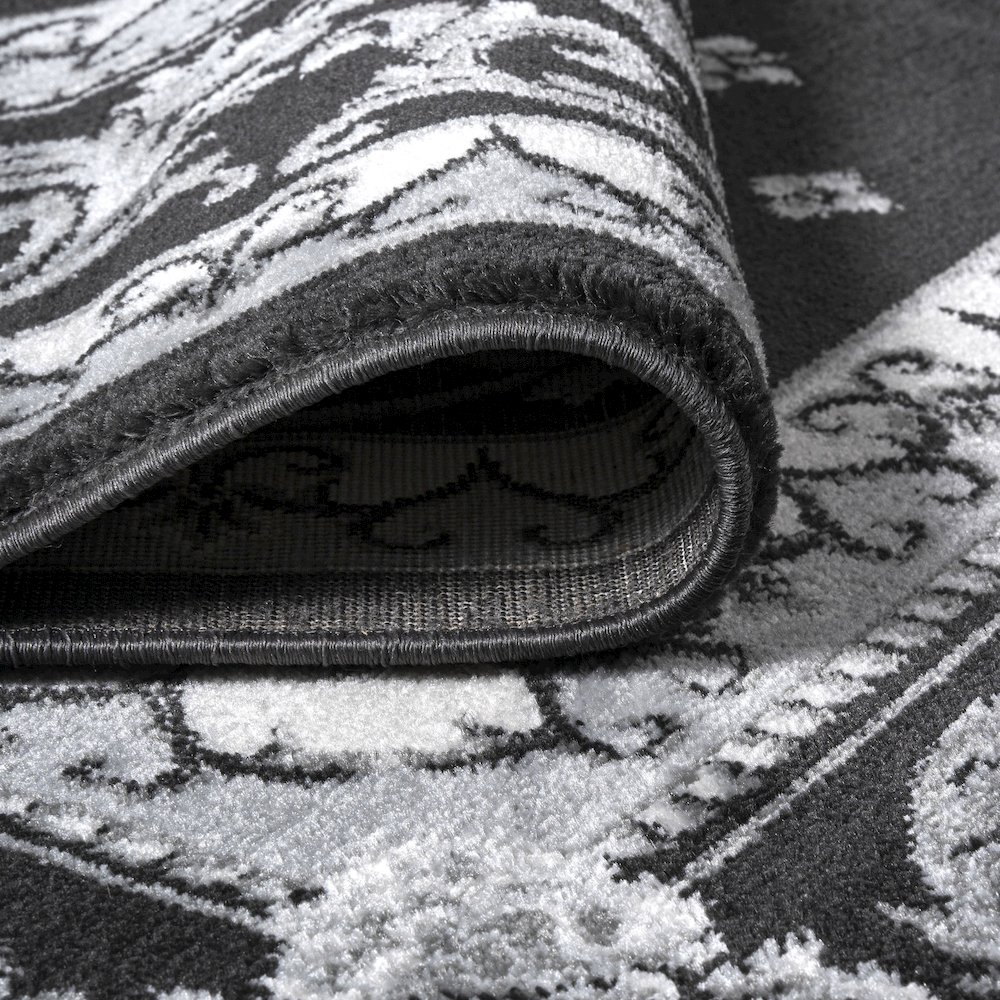 Acanthus French Border Area Rug. Picture 8