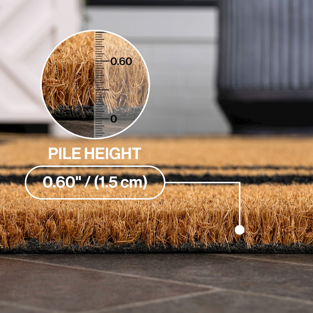Blaire Classic Double Border Natural/Black 5 ft. x 8 ft. Indoor/Outdoor Area Rug. Picture 3