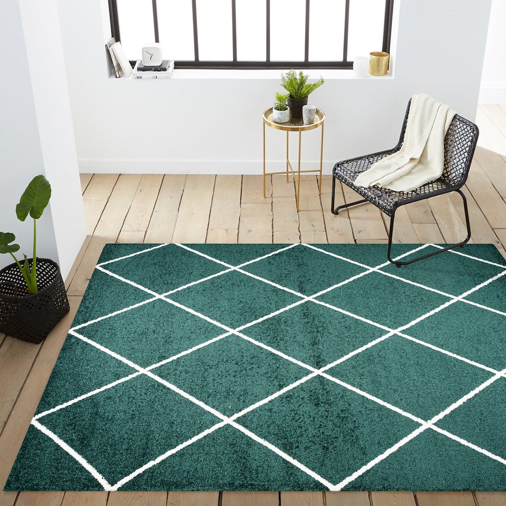Cole Minimalist Diamond Trellis Area Rug. Picture 12