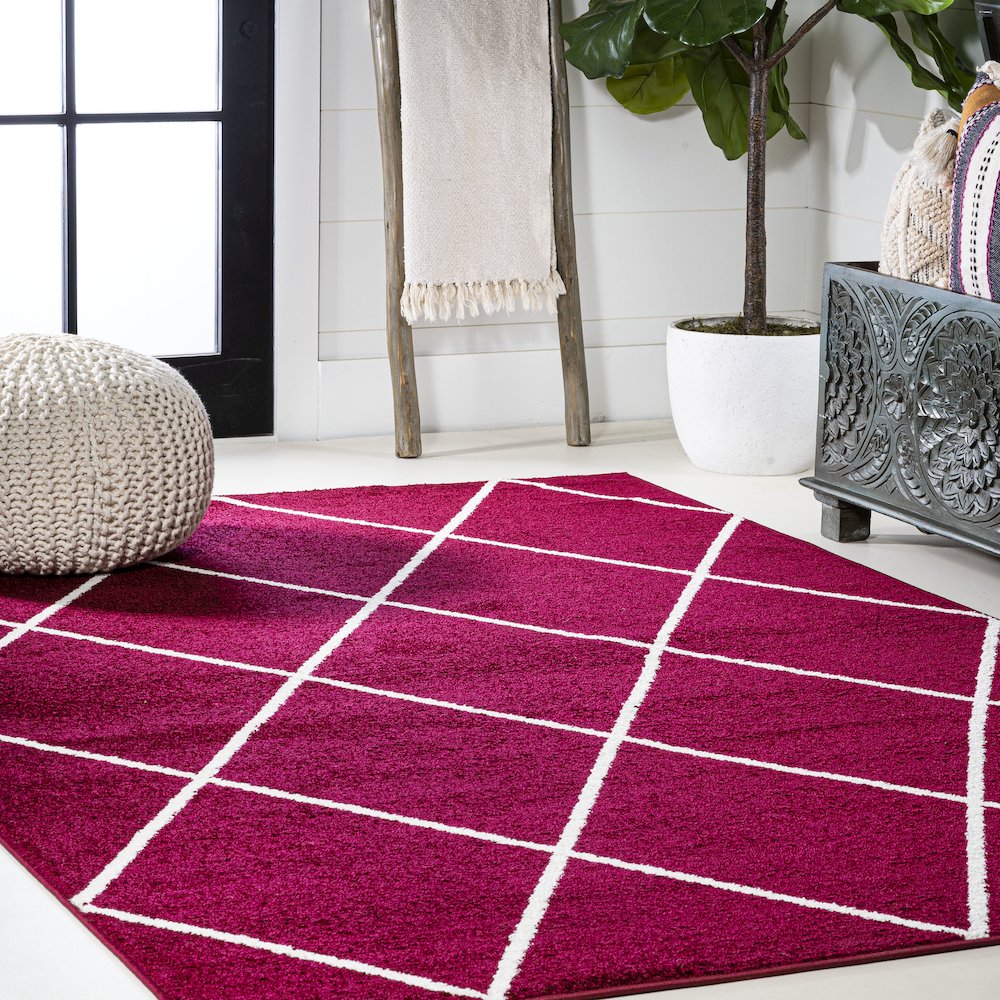 Cole Minimalist Diamond Trellis Area Rug. Picture 5