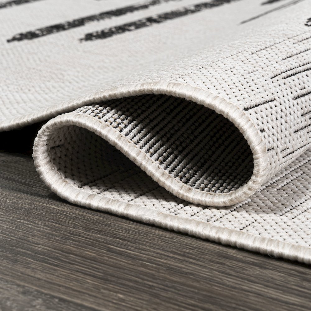 Zolak Berber Stripe Geometric Indoor/Outdoor Area Rug. Picture 15