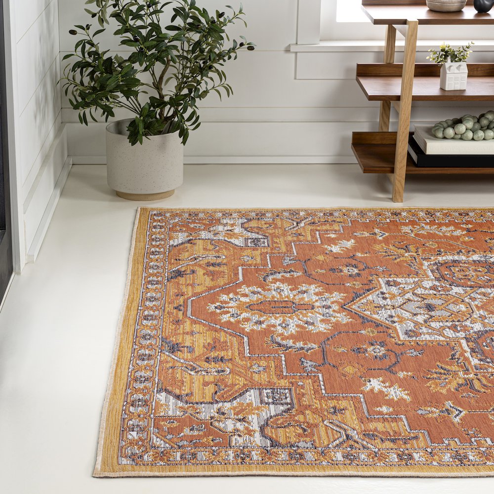 Medallion Reversible Machine-Washable Indoor/Outdoor Runner Rug. Picture 1