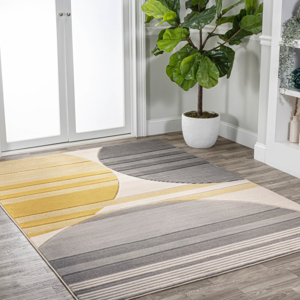Nicky Geometric Striped Circles Area Rug. Picture 5