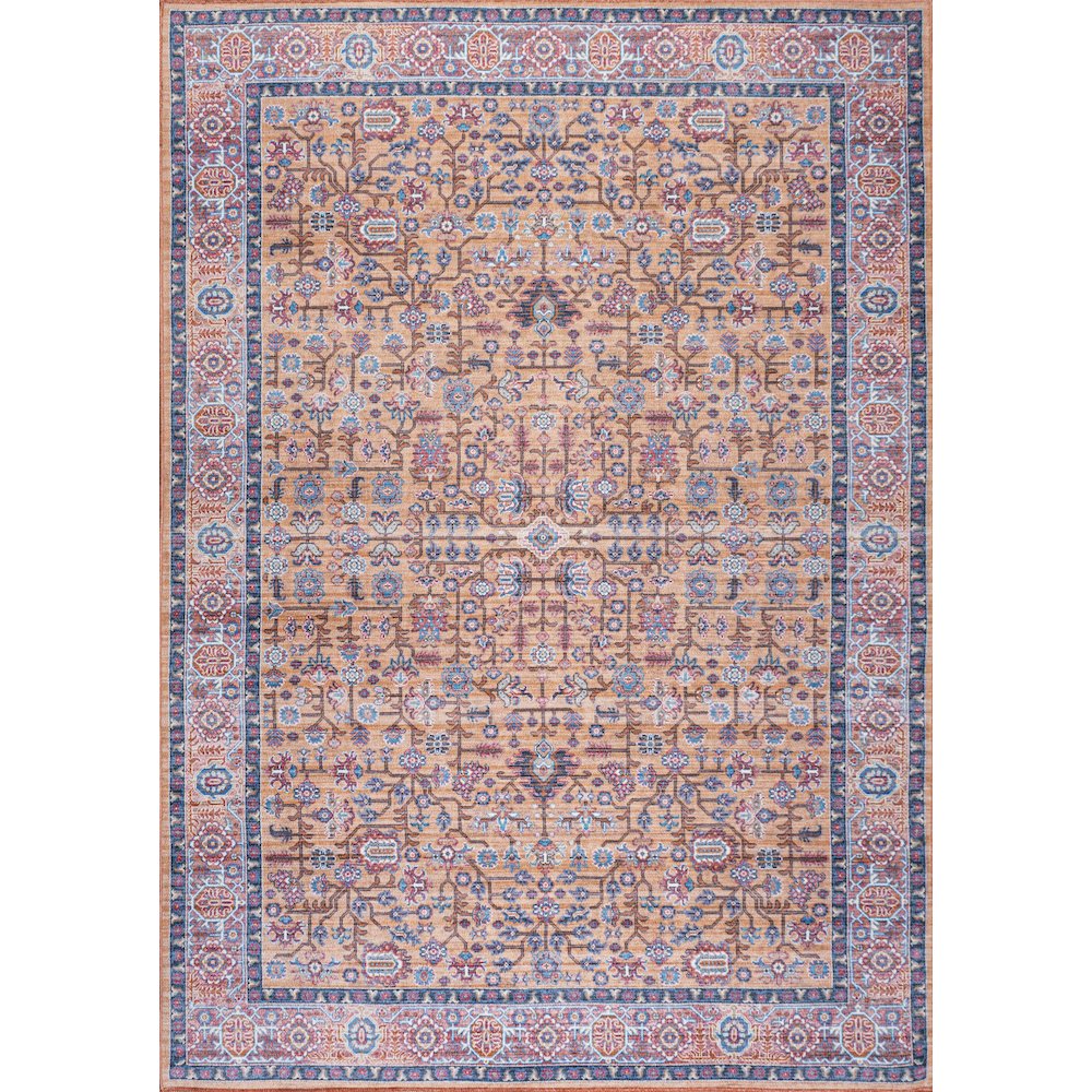 Kemer All Over Persian Washable Indoor/Outdoor Area Rug. Picture 1