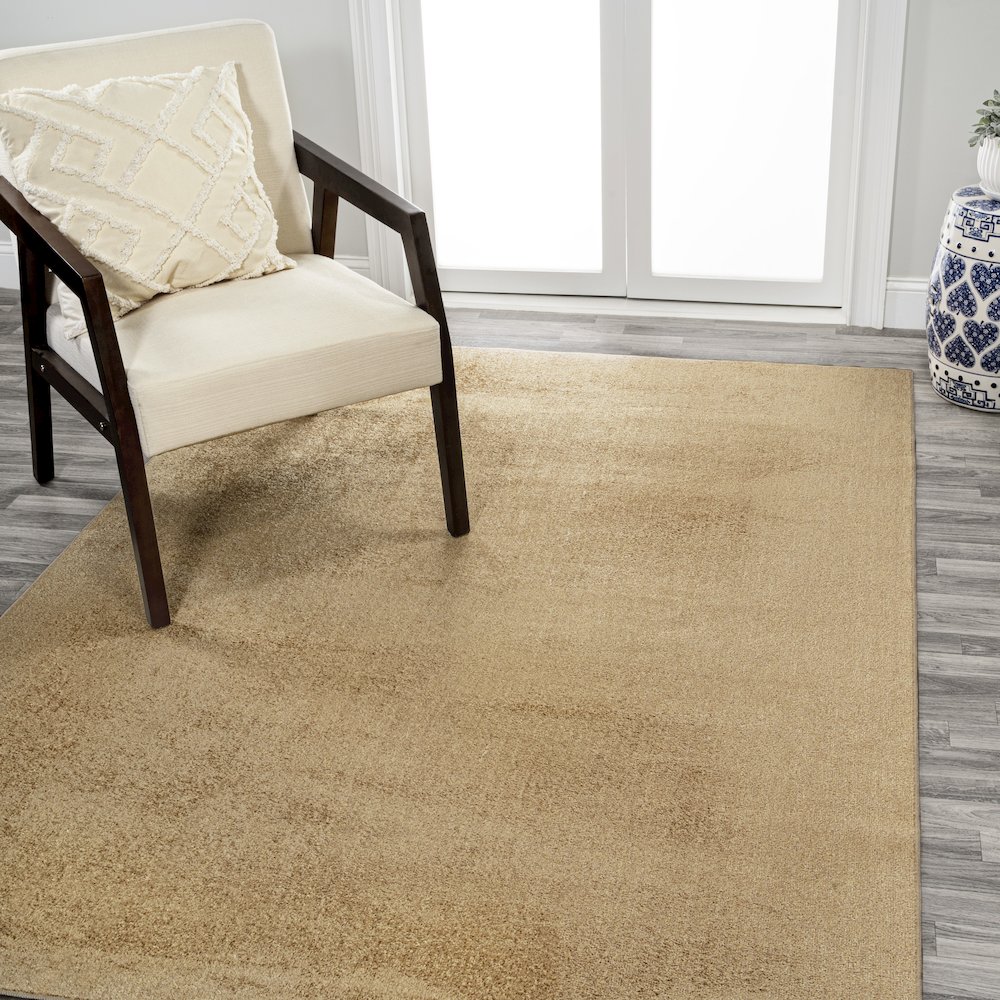 Twyla Classic Solid Low-Pile Machine-Washable Area Rug. Picture 1
