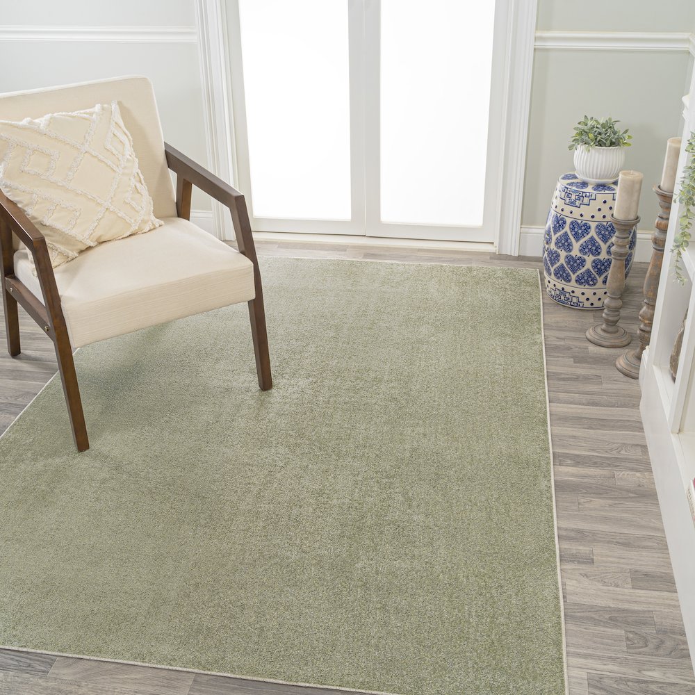 Twyla Classic Solid Low-Pile Machine-Washable Area Rug. Picture 1