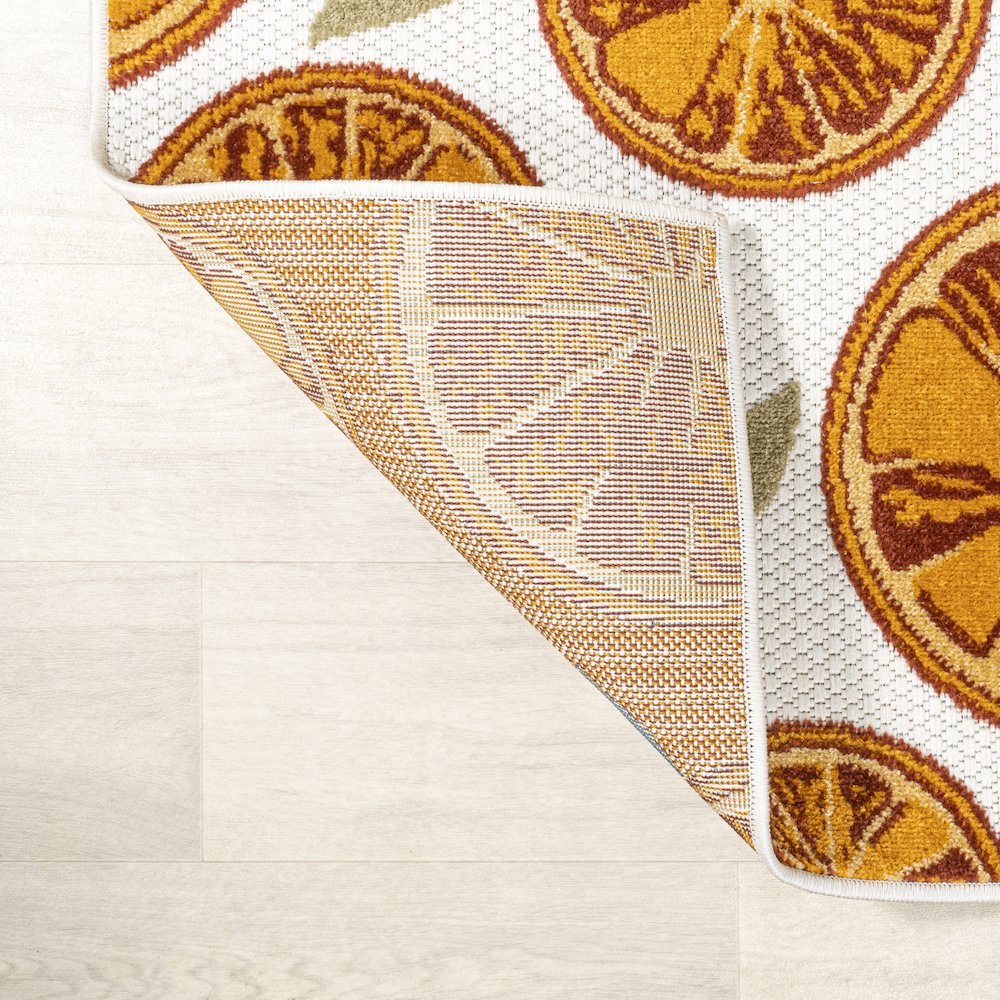 Aranciata Citrus Slice High-Low Indoor/Outdoor Area Rug. Picture 10