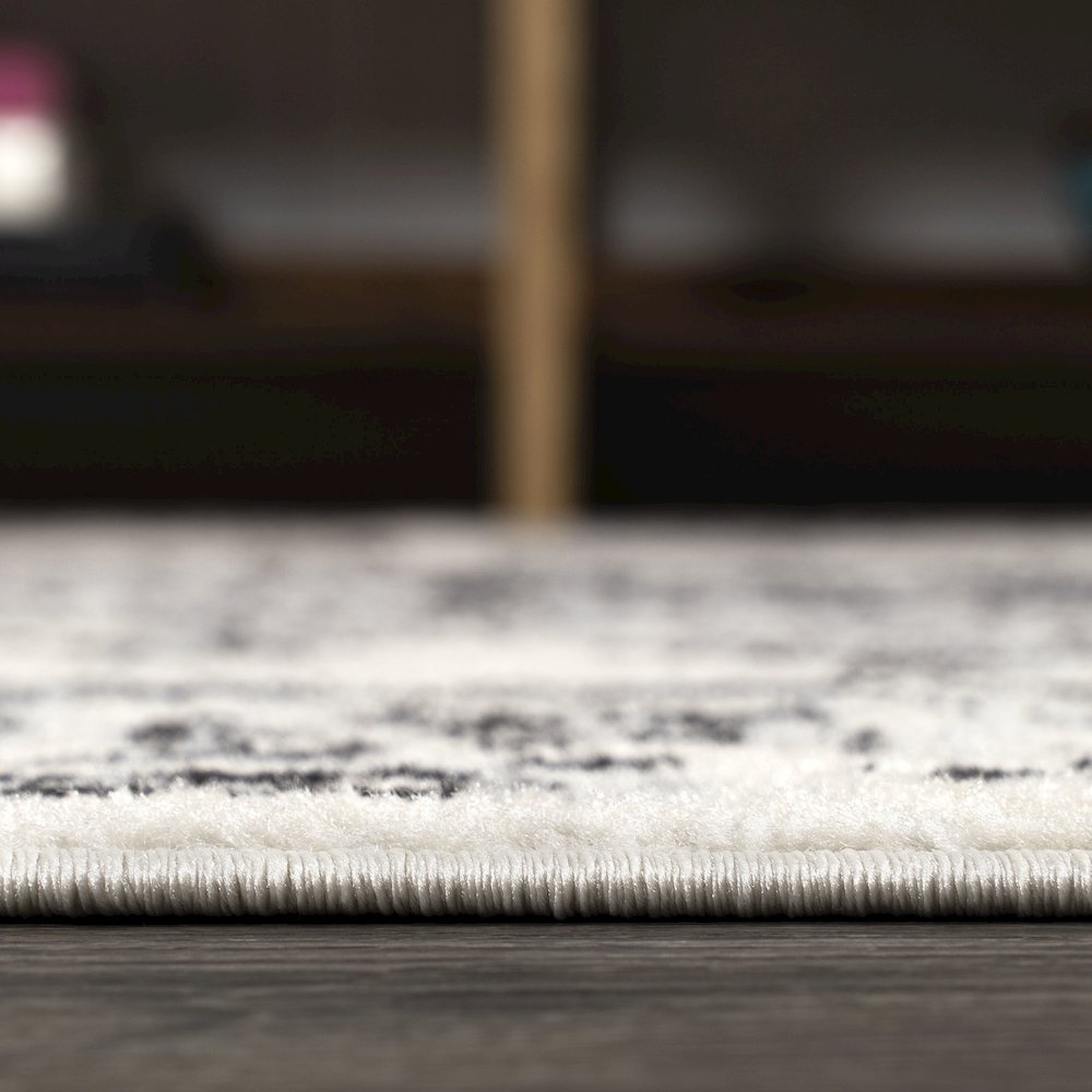 Inigo Cottage Medallion Area Rug. Picture 9