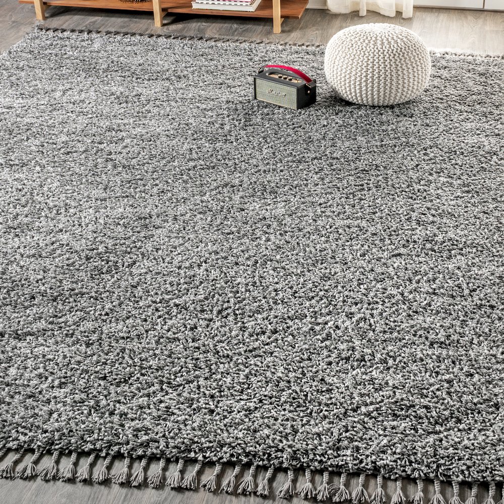 Mercer Shag Plush Tassel Area Rug. Picture 2