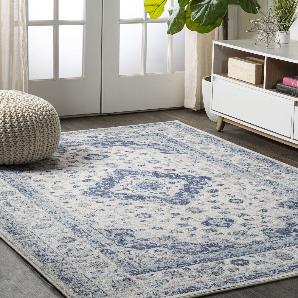 Indhira Ornate Medallion Persian Area Rug. Picture 2