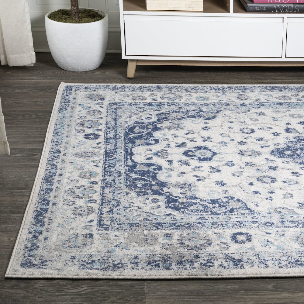 Indhira Ornate Medallion Persian Area Rug. Picture 3