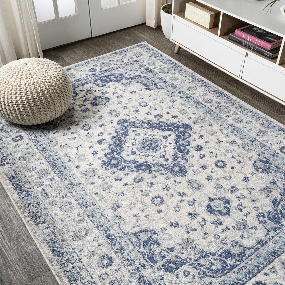 Indhira Ornate Medallion Persian Area Rug. Picture 4