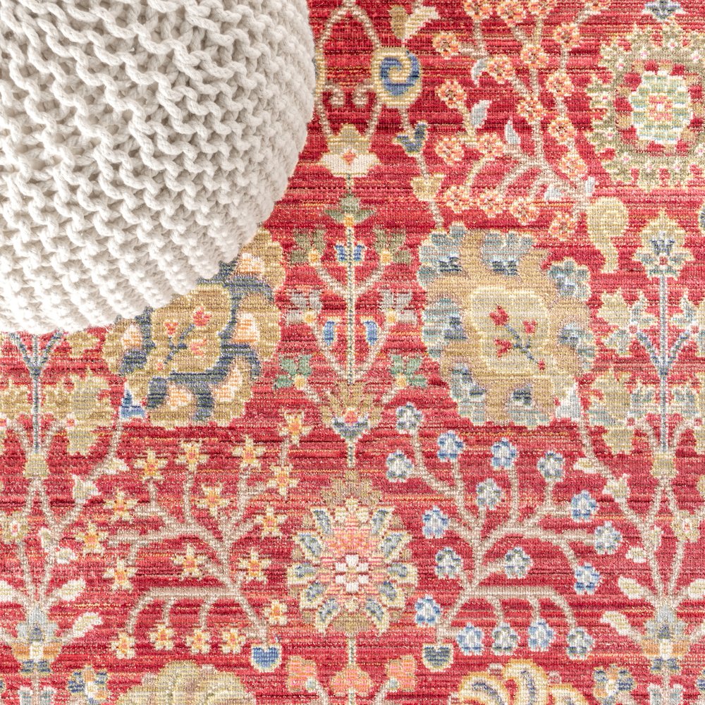 India Flower And Vine Area Rug. Picture 6